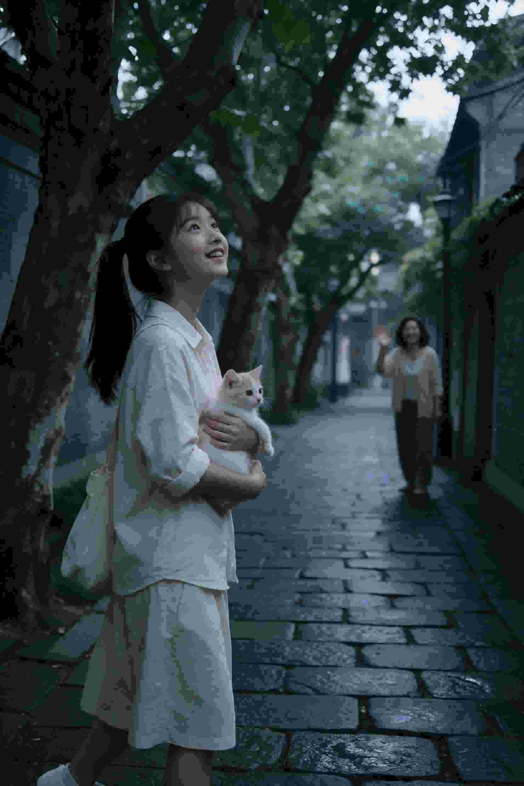 跨越次元的爱